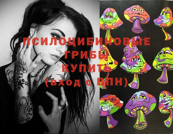 гашик Дегтярск