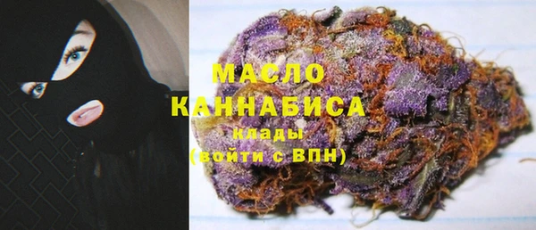 дмт Осташков
