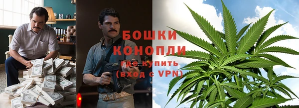 дмт Осташков