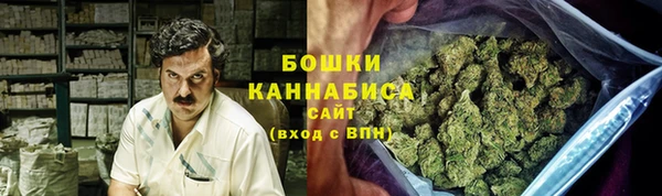 гидра Грязовец