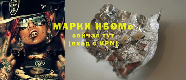 дмт Осташков