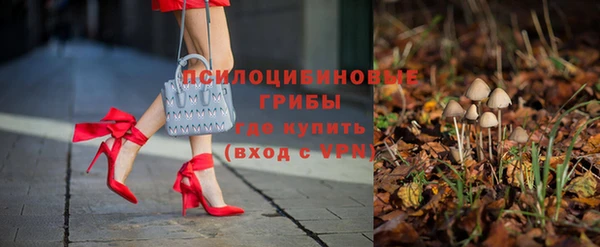 spice Пестово
